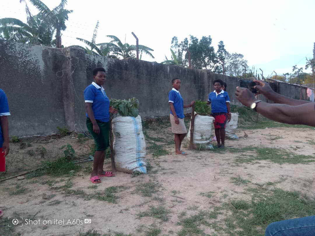 Waste collection activity